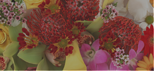 Купить цветы на авито в хакасии доставка цветов по харькову